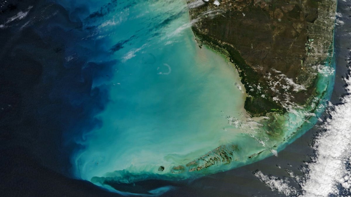 NASA spots Florida's ocean waters changing color