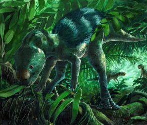 Foskeia pelendonum Reconstruction