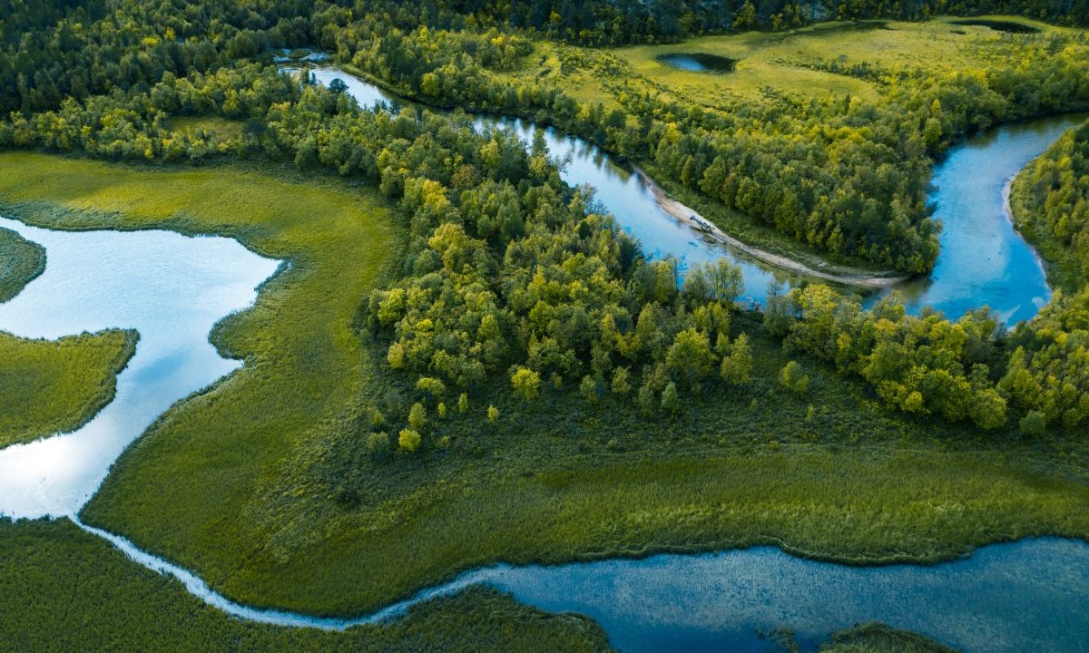 Current is a new RSS reader that's more like a river than an inbox