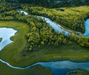 Current is a new RSS reader that's more like a river than an inbox