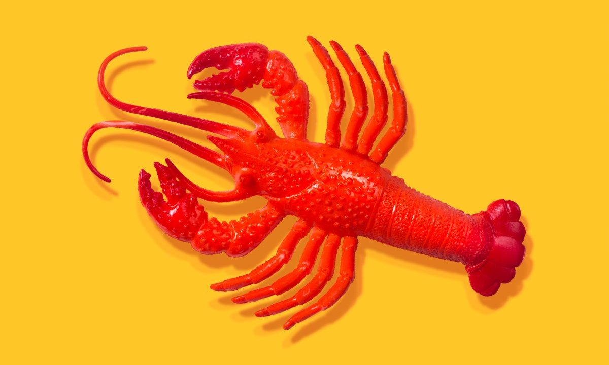 After all the hype, some AI experts don't think OpenClaw is all that exciting