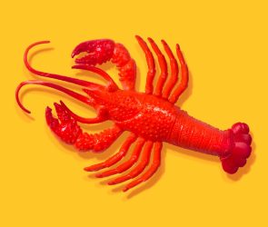 After all the hype, some AI experts don't think OpenClaw is all that exciting