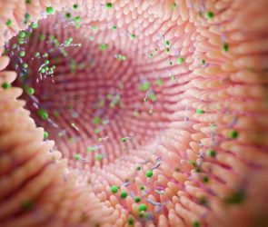 Gut Bacteria Microbiome Illustration