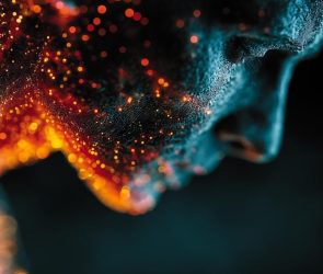 Human Body Cell Atlas Aging