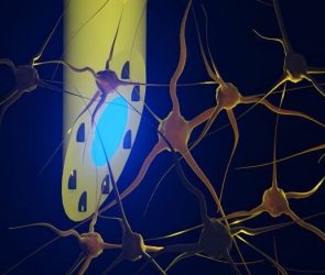 Illustration of the mAxialtrode