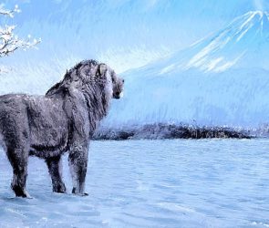 Prehistoric Japan was home to cave lions—not tigers