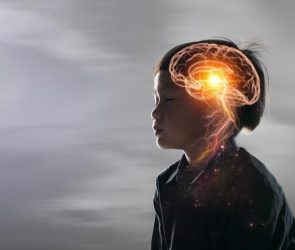 Kid Brain Nervous System Child Thinking Process Memory