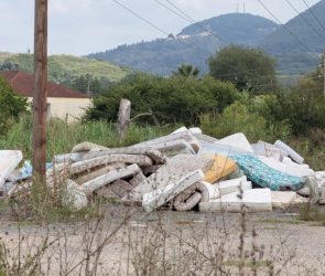 Fungi help turn old mattresses into insulation