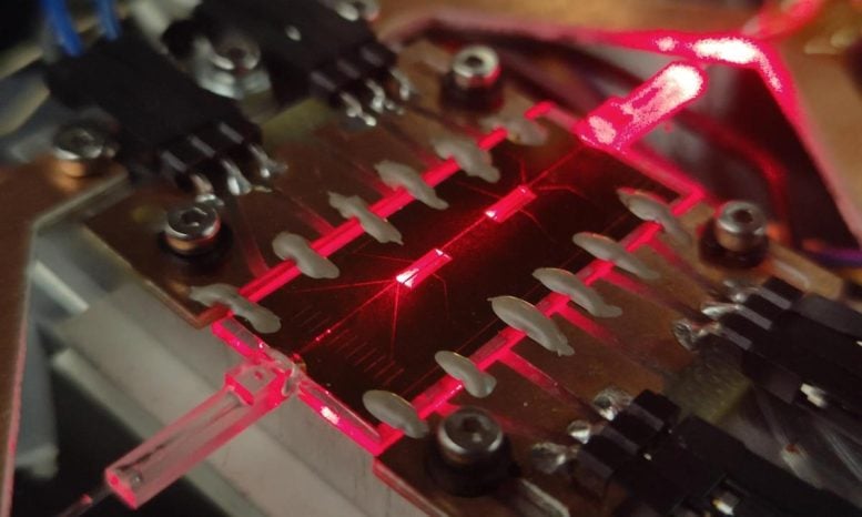 Laser Written Glass Chip