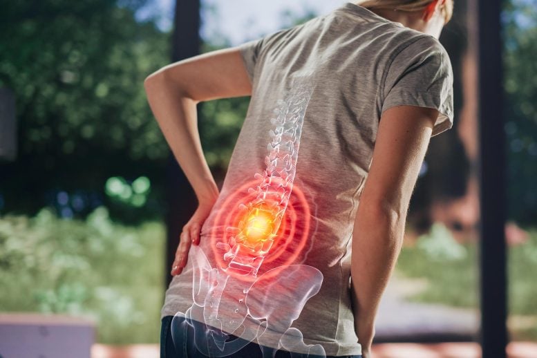 Lower Back Pain Woman Spine Inflammation