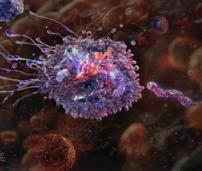 Macrophage Attacking Pathogenic Bacteria