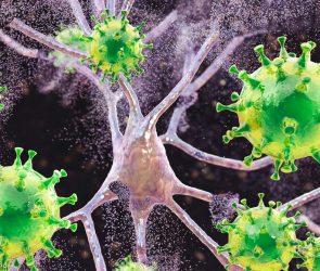 Measles Is Causing Brain Swelling in Children in South Carolina