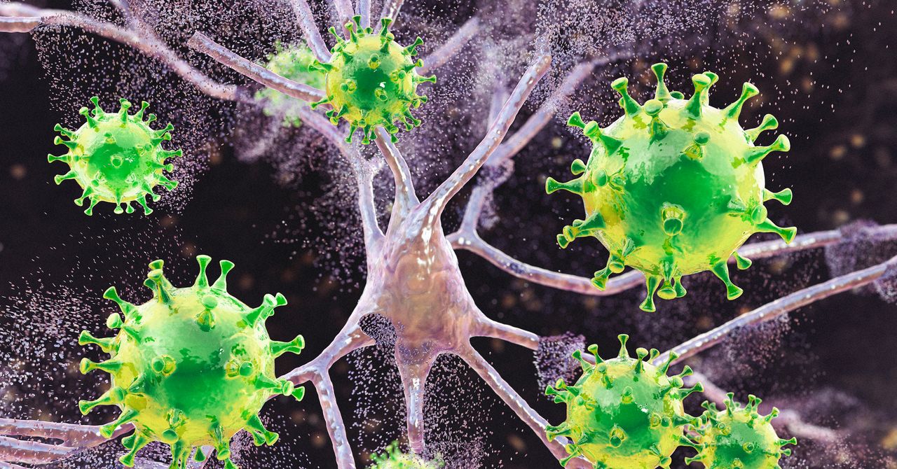 Measles Is Causing Brain Swelling in Children in South Carolina