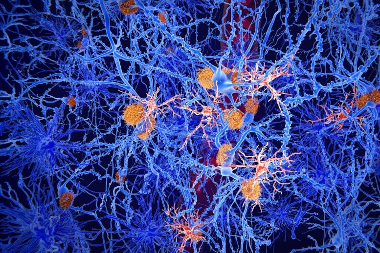Microglia Cells Brain Neuroscience Alzheimer’s Disease