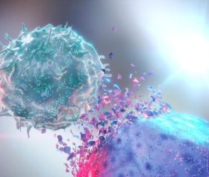 Natural Killer NK Destroying Cancer Cell