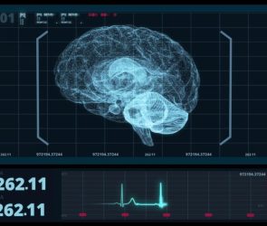 Neuroscience Brain Scan Artificial Intelligence Smart Technology