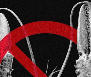 Meta and Other Tech Companies Ban OpenClaw Over Cybersecurity Concerns