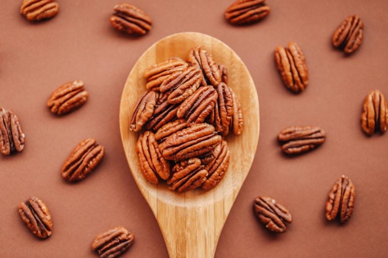 Pecan Nuts Wooden Spoon