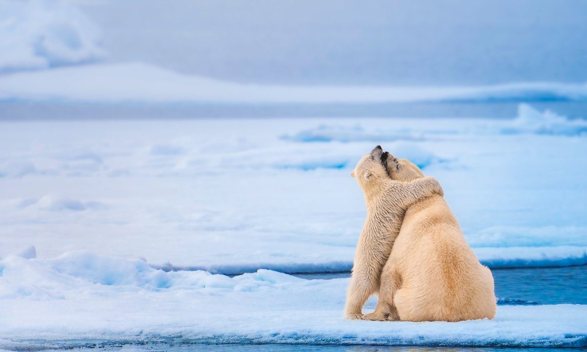 24 beautiful images from the World Nature Photography Awards 2026