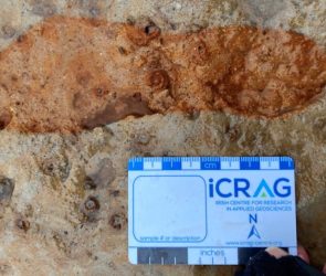 Dog walkers find 2,000-year-old footprints on beach in Scotland