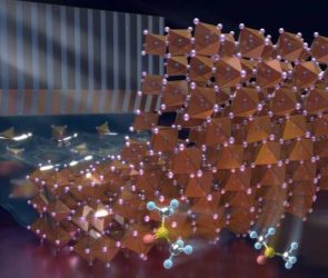 Solvate Crystal Seeds at the Buried Interface