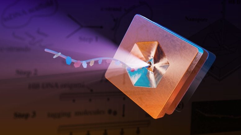 Strand of Engineered DNA Passing Through a Nanoscale Sensor