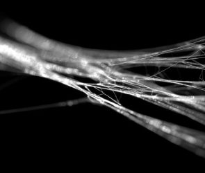 Strong Spider Silk Material