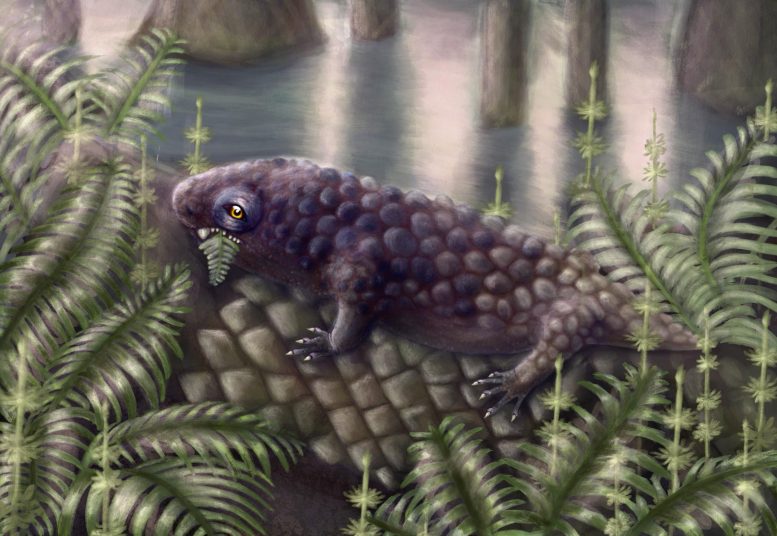 Tyrannoroter heberti Reconstruction