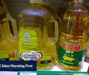 China-Canada canola deal faces fragility test as USMCA trade talks loom, insiders warn