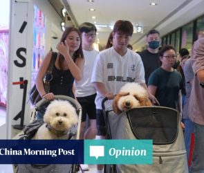 Opinion | So what if some countries have fewer babies and shrinking populations?