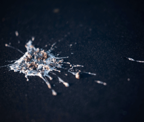 Bird poop powered this pre-Hispanic kingdom