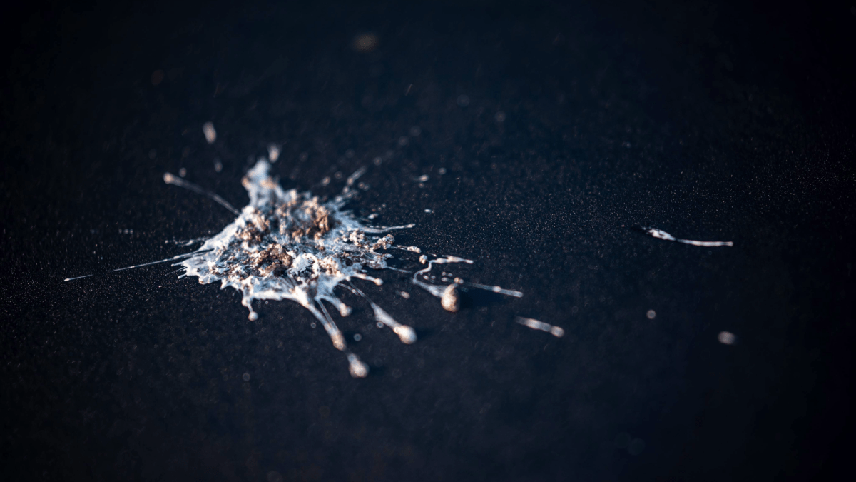 Bird poop powered this pre-Hispanic kingdom