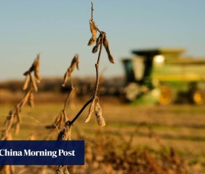 China failed to hit soybean meal dependence targets last year. US deal makes it harder