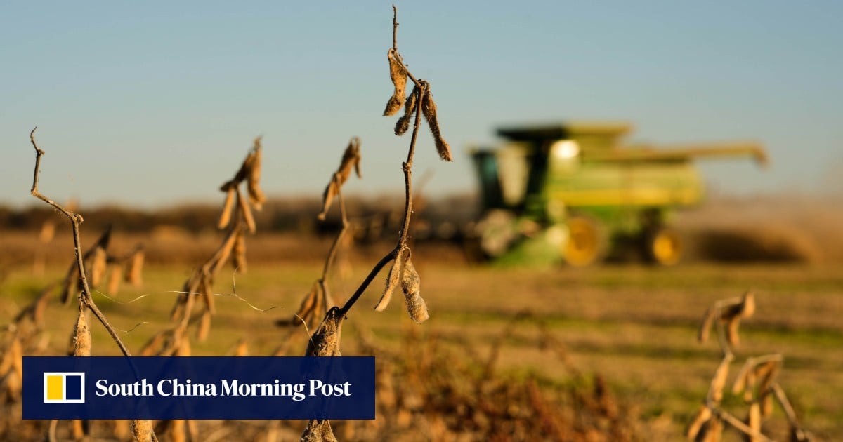 China failed to hit soybean meal dependence targets last year. US deal makes it harder