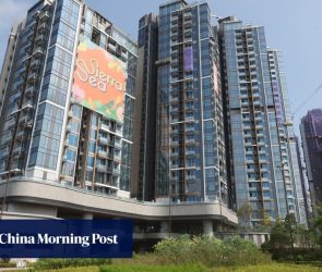 Hong Kong’s SHKP rolls out 350 Sierra Sea flats after sell-outs in world’s priciest market