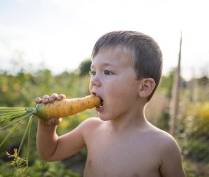 Yes, eating carrots can help your eyesight. But it's not a cure-all.