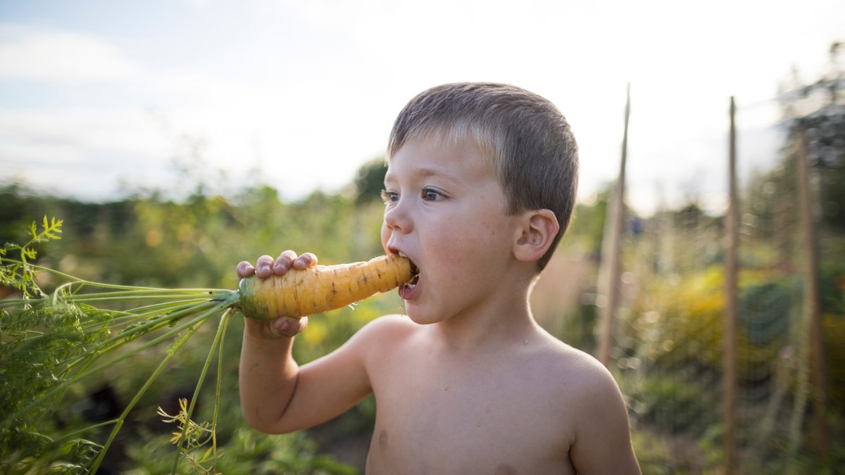 Yes, eating carrots can help your eyesight. But it's not a cure-all.