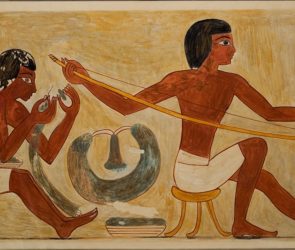 Forgotten hand tool rewrites ancient Egyptian history