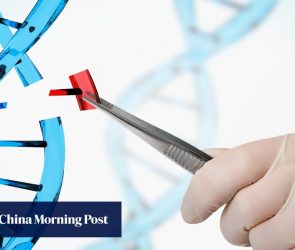 Cutting-edge Chinese gene-editing technique raises prospect of new autism treatments