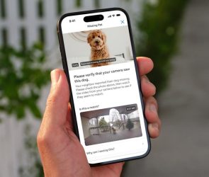 hand holding a smartphone