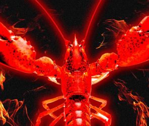 I Infiltrated Moltbook, the AI-Only Social Network Where Humans Aren’t Allowed