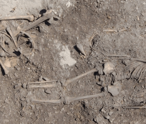 Stone Age burial ground reveals deep family trees