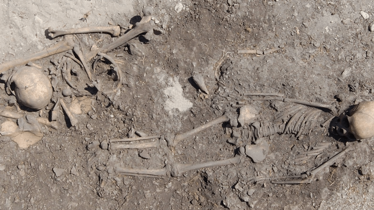 Stone Age burial ground reveals deep family trees