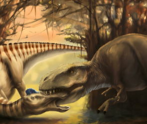A Tyrannosaurus tooth embedded in dinosaur skull tells a violent story