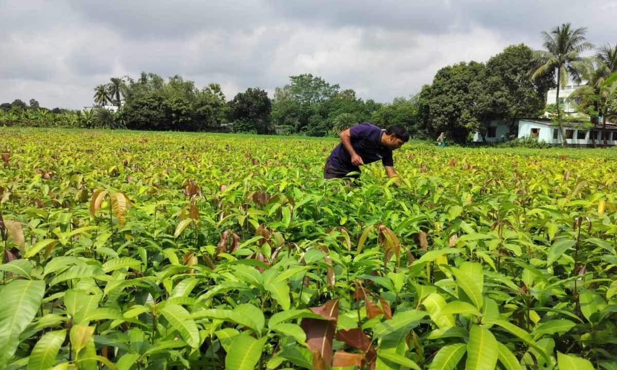 Varaha project at a farm