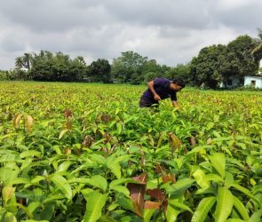 Varaha project at a farm