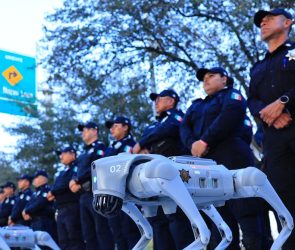 Robot Dogs Are on Going on Patrol at the 2026 World Cup in Mexico