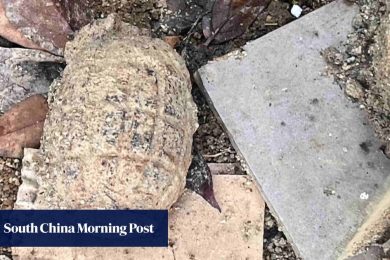 Suspected wartime grenade found in Hong Kong residential area