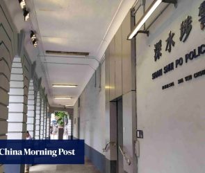 Hong Kong boy, 14, held over online videos, photos depicting abuse of cats