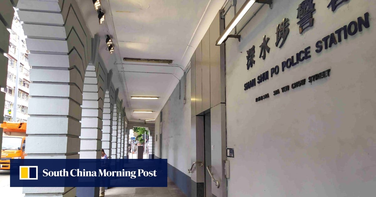 Hong Kong boy, 14, held over online videos, photos depicting abuse of cats